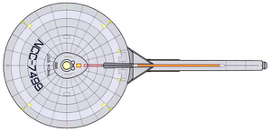 Ikoma (2265) (dorsal).png