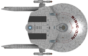 Sheffield (dorsal).png