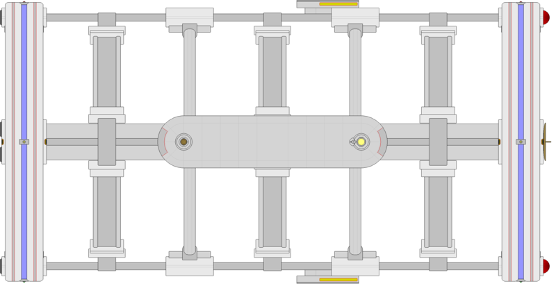 File:Locrian (dorsal).png