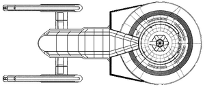 Wambundu (ventral).png