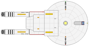 Kovaris (2287) (ventral).png