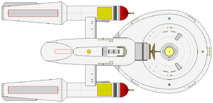 Bonaventure -099 -5 (ventral).png