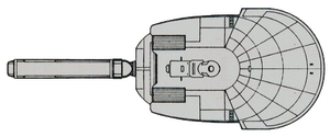 T'Pari (dorsal).png