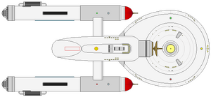 Bonaventure -099 -2 (ventral).png