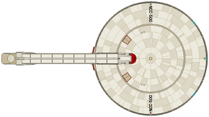 Saladin (ventral).png
