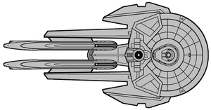 Andor (dorsal).png
