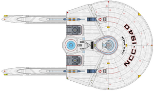 Knox (dorsal).png