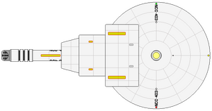 Horatio (2214) (ventral).png