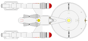 Whorfin (ventral).png