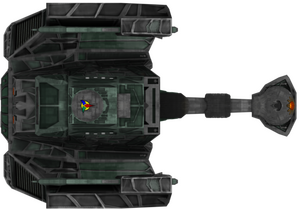 L13 (ventral).png