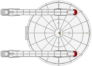 Burke Flt III (ventral).png