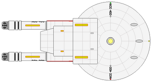 Kovaris (ventral).png