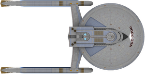 Renaissance (dorsal).png