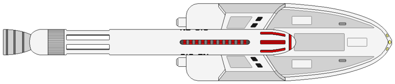 File:Strachan (ventral).png