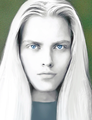 Thumbnail for version as of 21:12, 13 January 2023