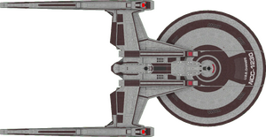 Shepard (dorsal).png