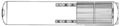 TDR-001 (ventral)