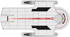 Fjon (ventral).png