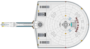 Larson refit (ventral).png