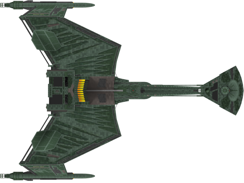 File:D-2 (dorsal).png