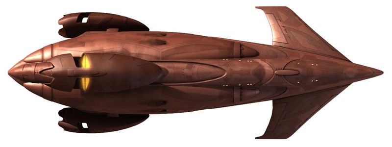 File:Tshin (dorsal).jpg