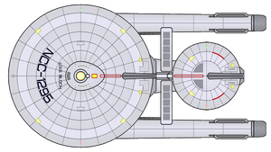 Bloch (2265) (dorsal).png