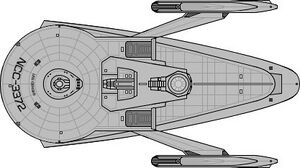 Genser scout (dorsal).jpg
